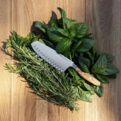 Wüsthof Amici Santokumesser 17 Cm -Wüsthof wusthof amici santoku 17 cm olive wood from calabria 2